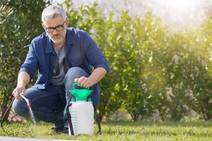 Read more about the article What the EPA Says About Lawn Care Chemicals